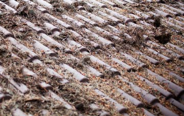 Ogden roof cleaning companies